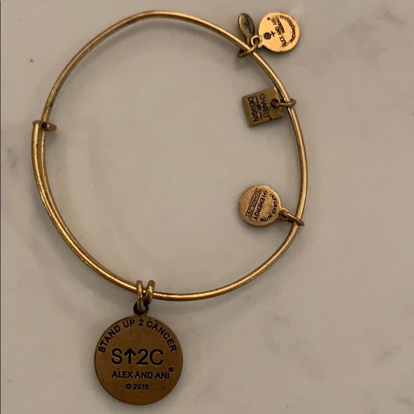 Alex and Ani Stand up to Cancer Bracelet - Picture 2 of 2